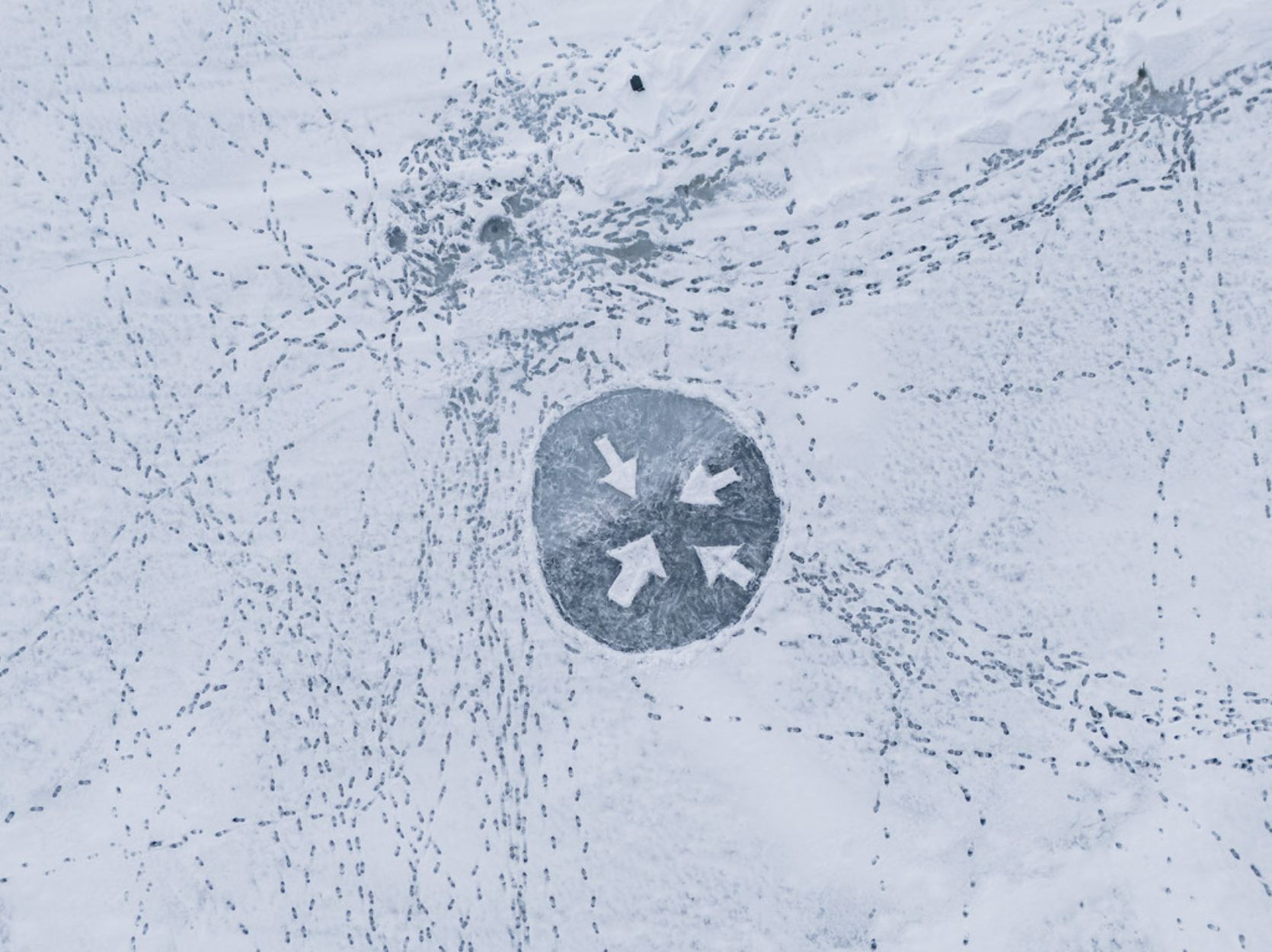 Polar Direction